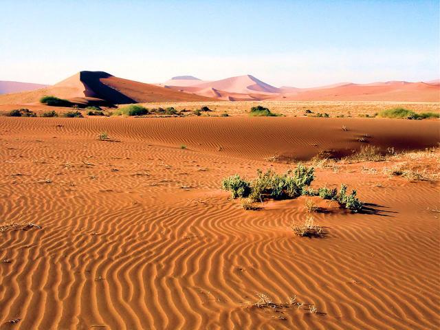 Namib-Naukluft National Park